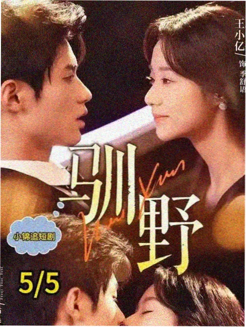 白狐影视剧集《雾中灯塔》海报